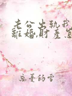 老公出轨我提出离婚,财产怎么分割?