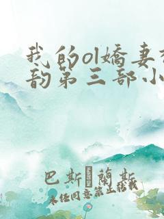 我的ol娇妻柳韵第三部小说