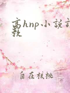 高hnp小说调教