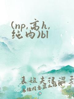 (np,高h,纯肉)bl