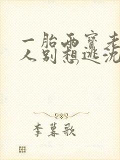 一胎两宝老婆大人别想逃沈蔓歌