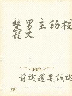 双男主的校园甜宠文