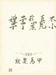 嫂子我真不是傻子了叶凡小说最新章节精校版