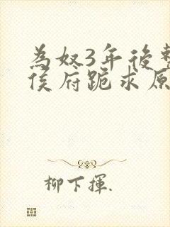 为奴3年后整个侯府跪求原谅