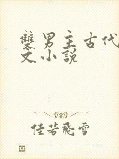 双男主古代高干文小说