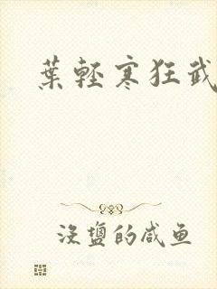 叶轻寒狂武战帝