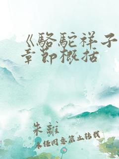 《骆驼祥子》每章节概括
