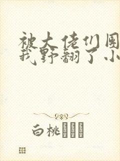 被大佬们团宠后我野翻了小说阅读