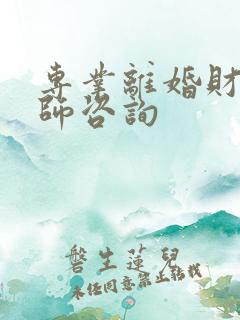 专业离婚财产律师咨询