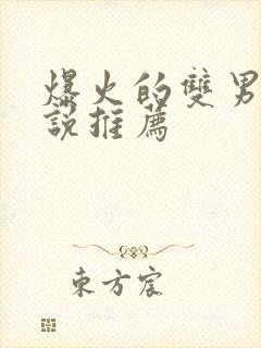 爆火的双男主小说推荐