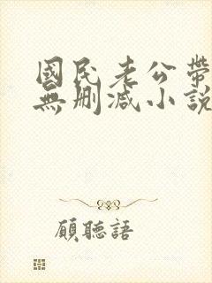 国民老公带回家无删减小说