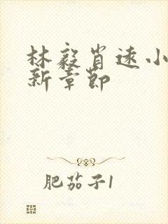 林毅肖远小说最新章节