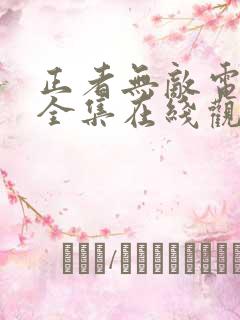 正者无敌电视剧全集在线观看免费