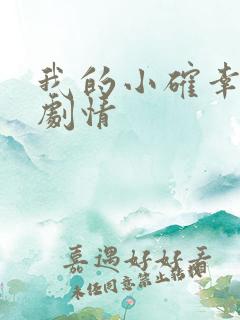 我的小确幸分集剧情