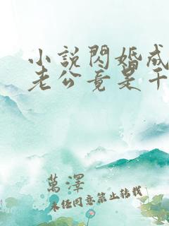 小说闪婚成宠,老公竟是千亿大佬