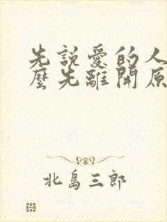 先说爱的人为什么先离开原唱