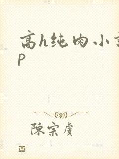 高h纯肉小说np