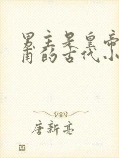 男主是皇帝姓皇甫的古代小说