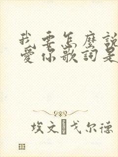 我要怎么说我不爱你歌词是什么歌