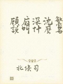 顾庭深沈繁星小说叫什么名字