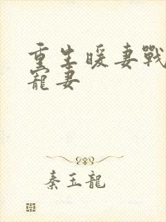 重生暖妻战少狂宠妻