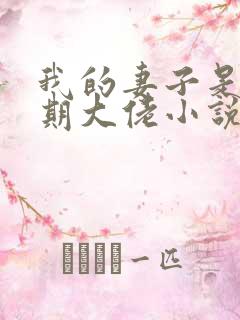我的妻子是大乘期大佬小说