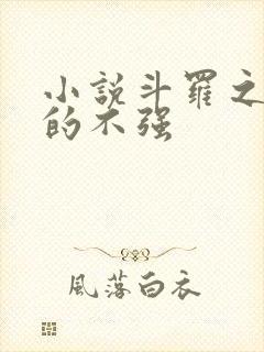 小说斗罗之我真的不强