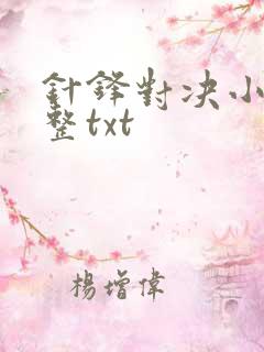 针锋对决小说完整txt