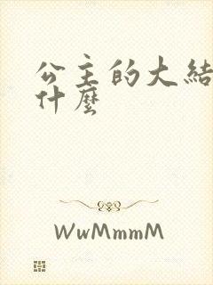 公主的大结局是什么