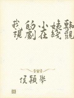 我的小姨韩国电视剧在线观看