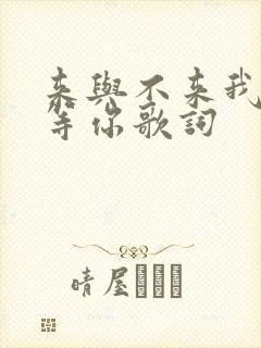 来与不来我都在等你歌词