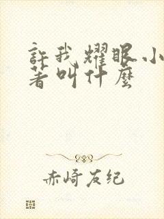 许我耀眼小说原著叫什么