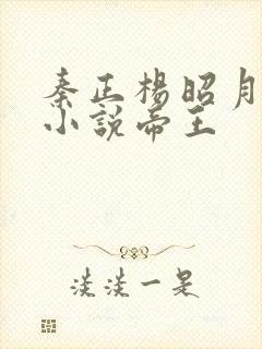 秦正杨昭月穿越小说帝王