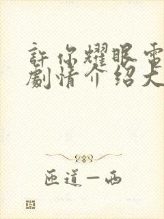 许你耀眼电视剧剧情介绍大结局