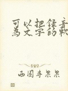 可以把录音转化为文字的软件