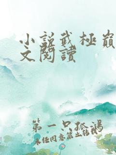 小说武极巅峰全文阅读