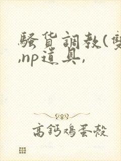 骚货调教(双性,np道具,