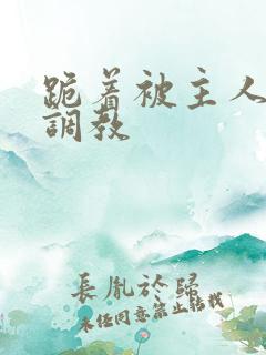 跪着被主人惩罚调教