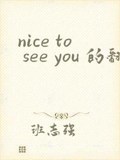 nice to see you 的翻译中文