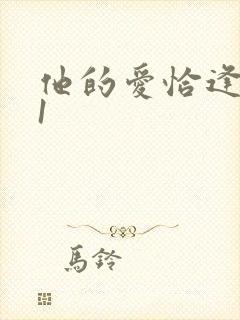 他的爱恰逢其时1