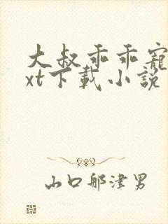 大叔乖乖宠我txt下载小说