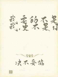 我要的不是你爱我,更不是你恨我是什么歌