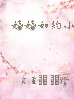 婚婚如约小说