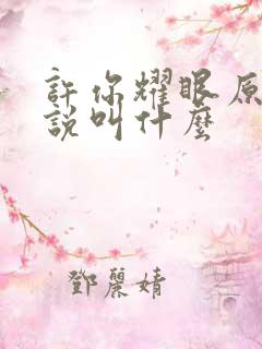 许你耀眼原著小说叫什么