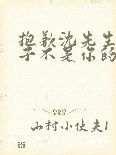 抱歉沈先生,孩子不是你的短剧播放