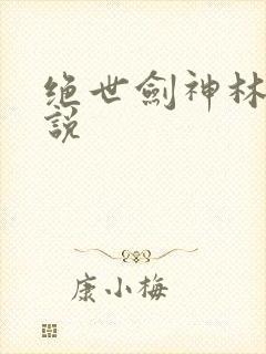 绝世剑神林辰小说