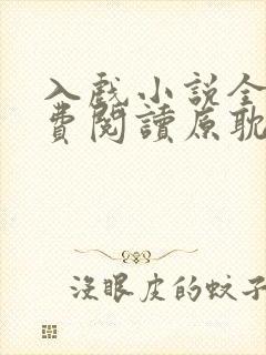 入戏小说全文免费阅读原耽
