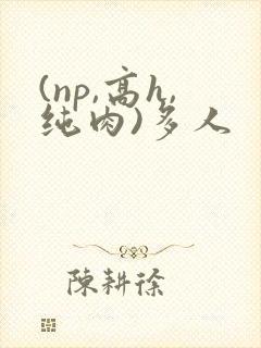 (np,高h,纯肉)多人