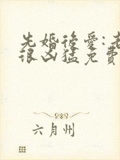 先婚后爱:老公很凶猛免费txt全文下载