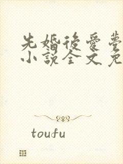 先婚后爱梦筱二小说全文免费阅读